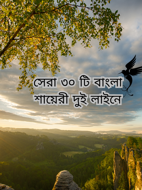 সেরা ৩০ টি বাংলা শায়েরী দুই লাইনে.png