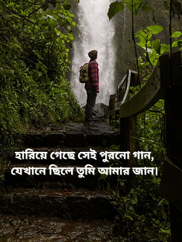 হারিয়ে গেছে সেই পুরনো গান, যেখানে ছিলে তুমি আমার জান।.png