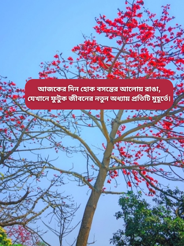 আজকের দিন হোক বসন্তের আলোয় রাঙা, যেখানে ফুটুক জীবনের নতুন অধ্যায় প্রতিটি মুহূর্তে.png