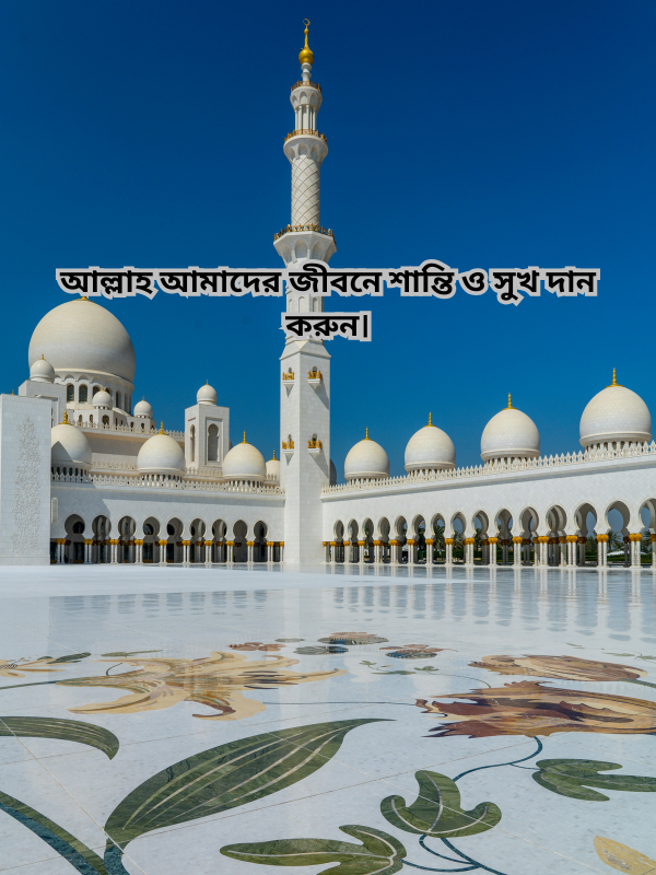 আল্লাহ আমাদের জীবনে শান্তি ও সুখ দান করুন।.png
