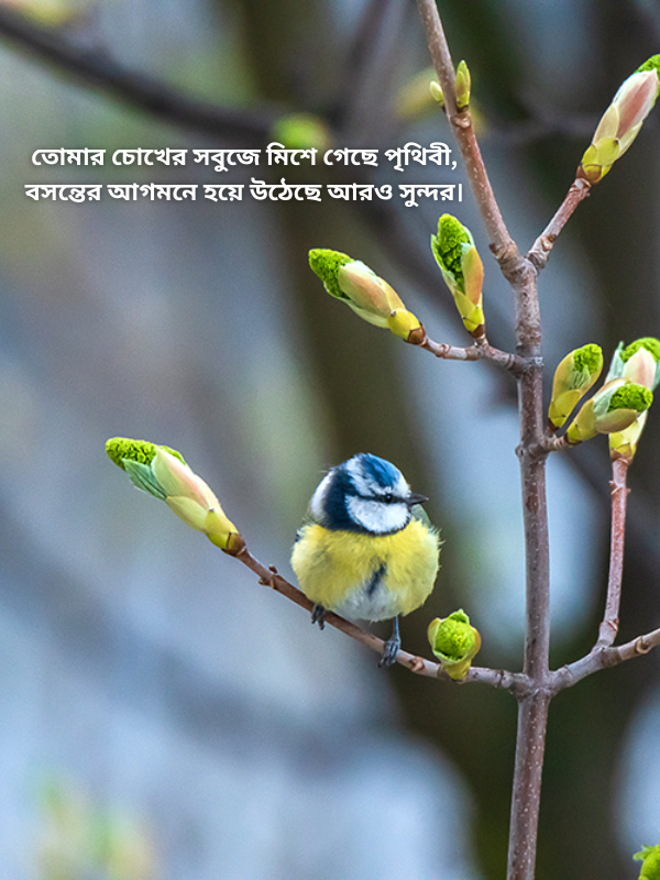 তোমার চোখের সবুজে মিশে গেছে পৃথিবী, বসন্তের আগমনে হয়ে উঠেছে আরও সুন্দর.png
