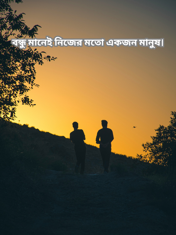 বন্ধু মানেই নিজের মতো একজন মানুষ.png