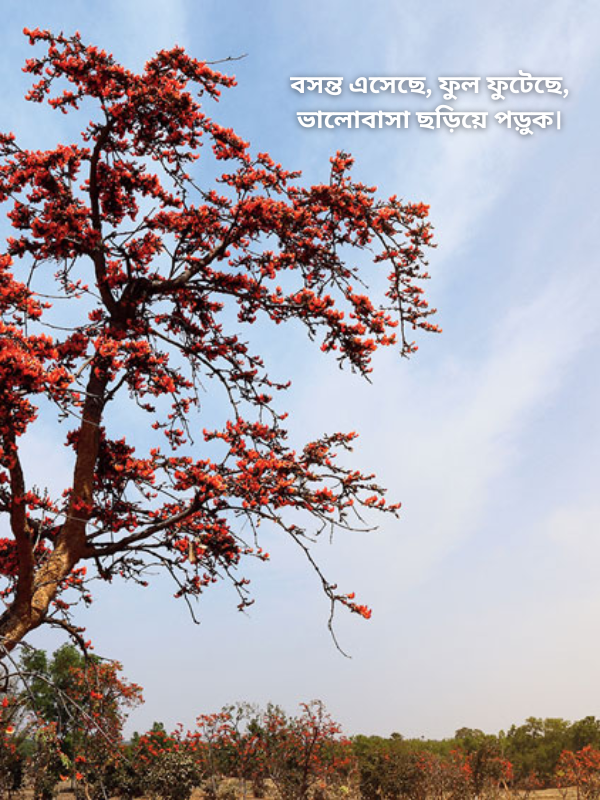 বসন্ত এসেছে, ফুল ফুটেছে, ভালোবাসা ছড়িয়ে পড়ুক.png
