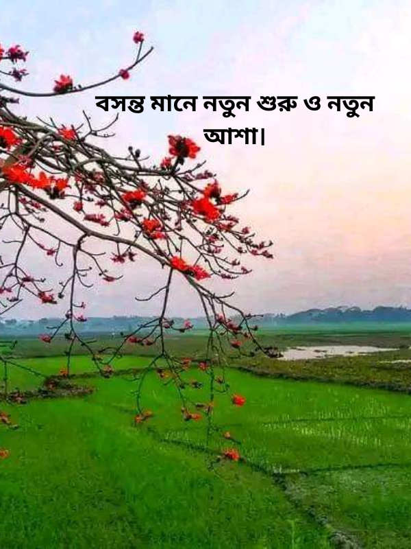 বসন্ত মানে নতুন শুরু ও নতুন আশা.png