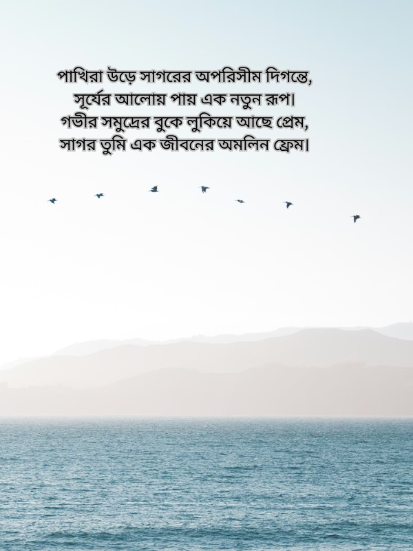 পাখিরা উড়ে সাগরের অপরিসীম দিগন্তে।.png