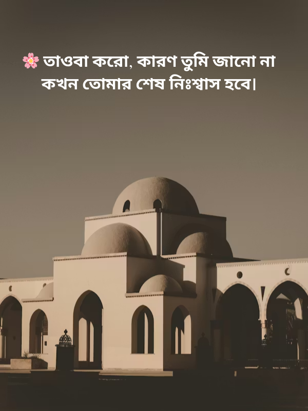🌸 তাওবা করো, কারণ তুমি জানো না কখন তোমার শেষ নিঃশ্বাস হবে।.png