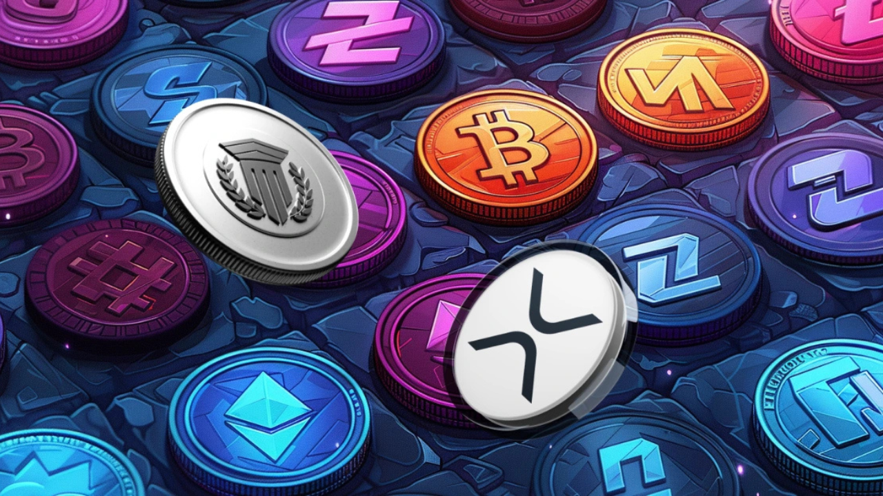 What is Superdumbumhum Coin?