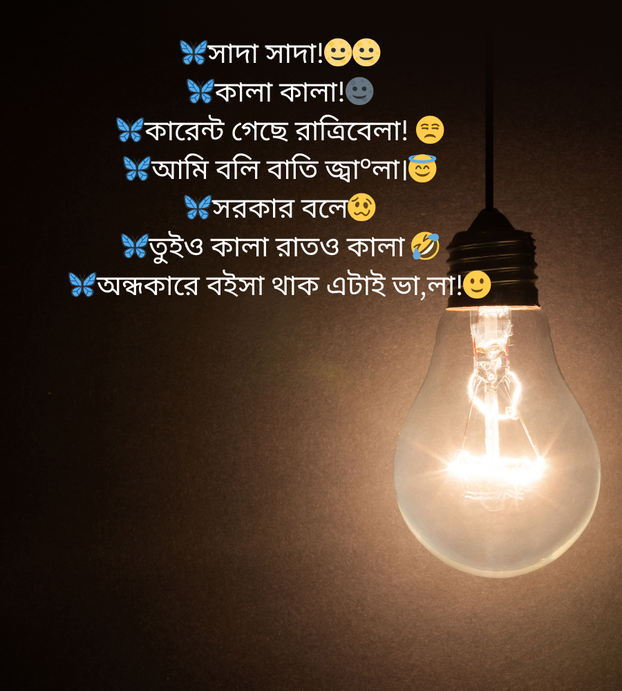 লোডশেডিং নিয়ে কবিতা