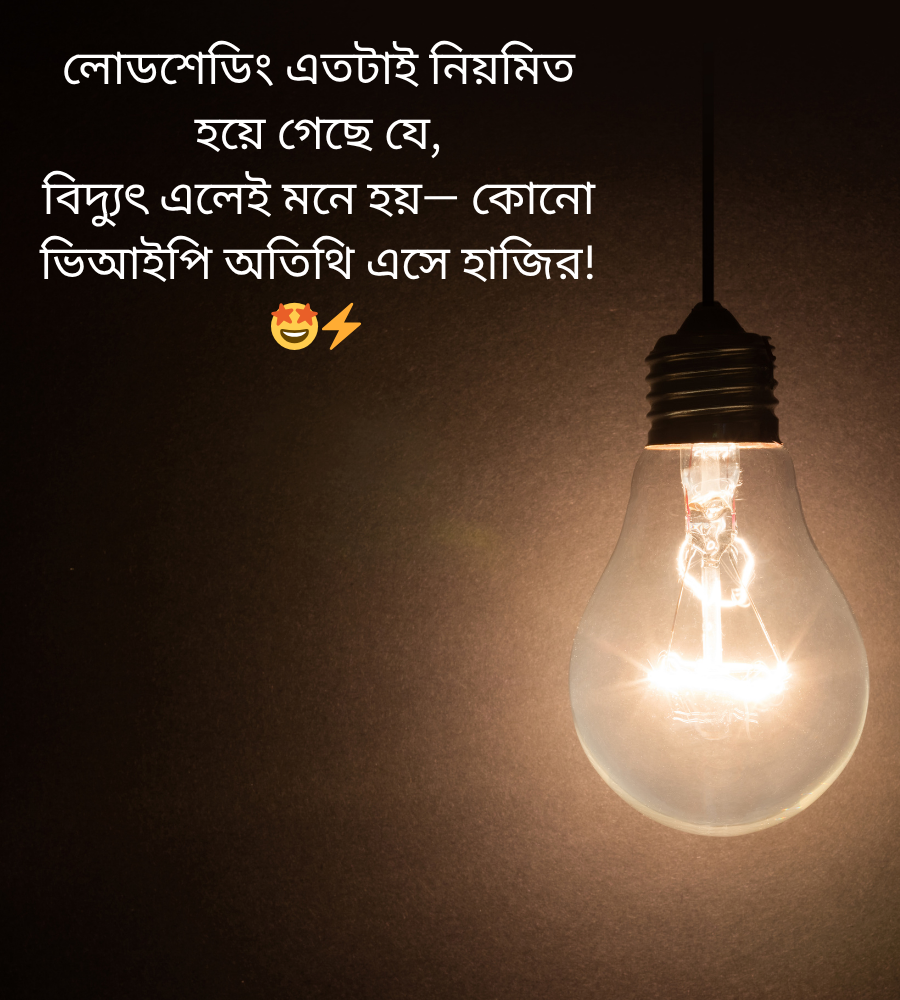 লোডশেডিং নিয়ে ক্যাপশন