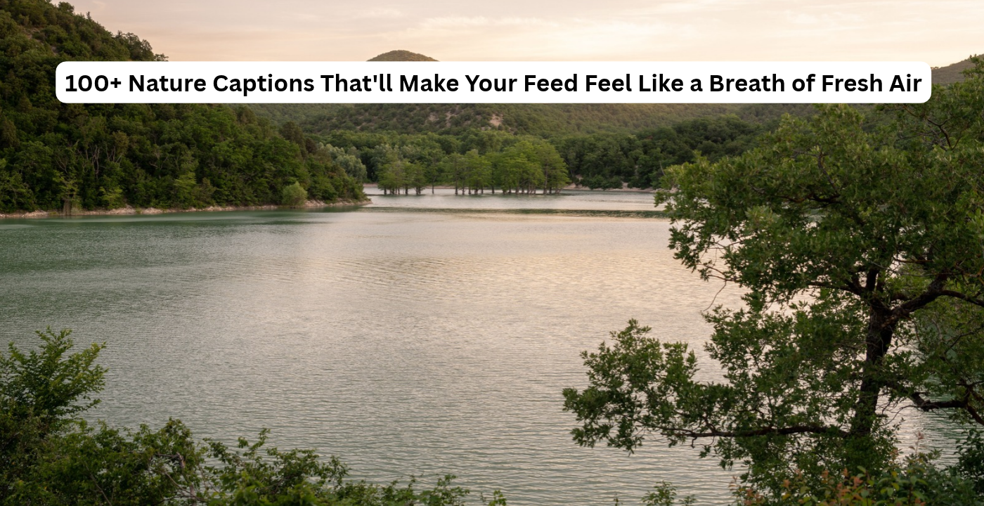 100+ Nature Captions Image