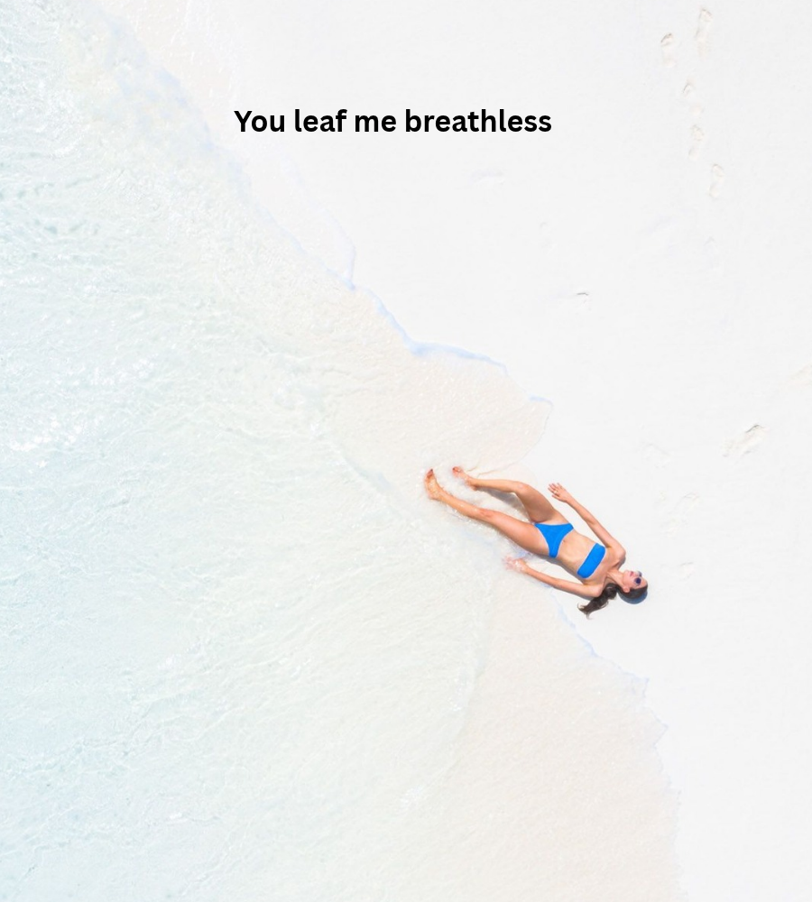 Funny & Playful Captions Image